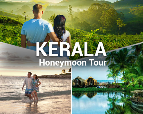 Kerala Honeymoon Tour
